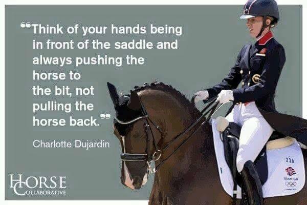  Dressage Comp – Sunday 5th November