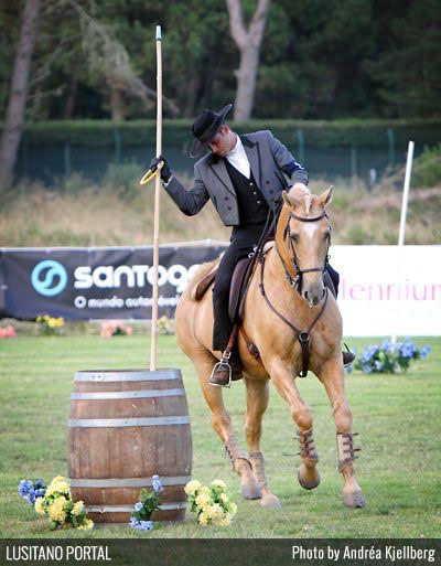 A Weekend of Working Equitation 