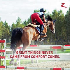 Showjumping Training Day