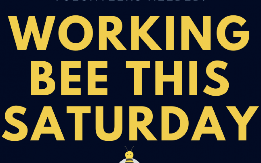 Working Bee – Sat 6 June