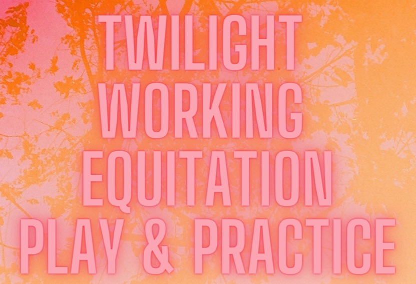 Twilight Working Equitation –  Sat 6 Feb