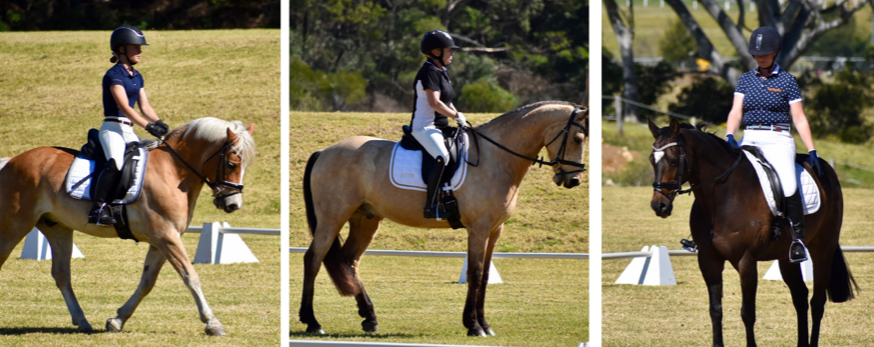 Dressage Comp – 1st August