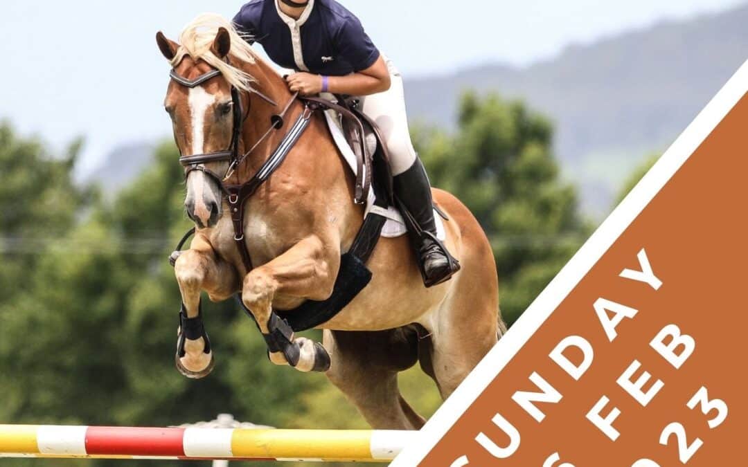 Clear Round Jumping