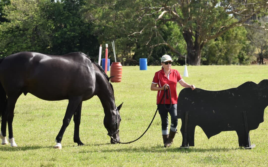 WE Obstacle Practice Day