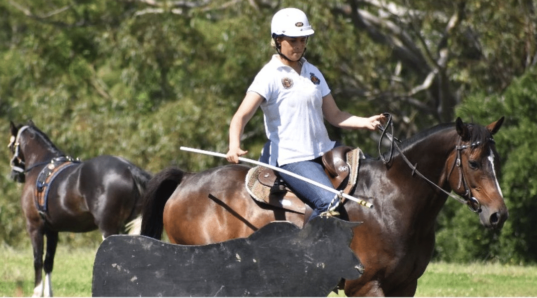 Super Charged Working Equitation Day