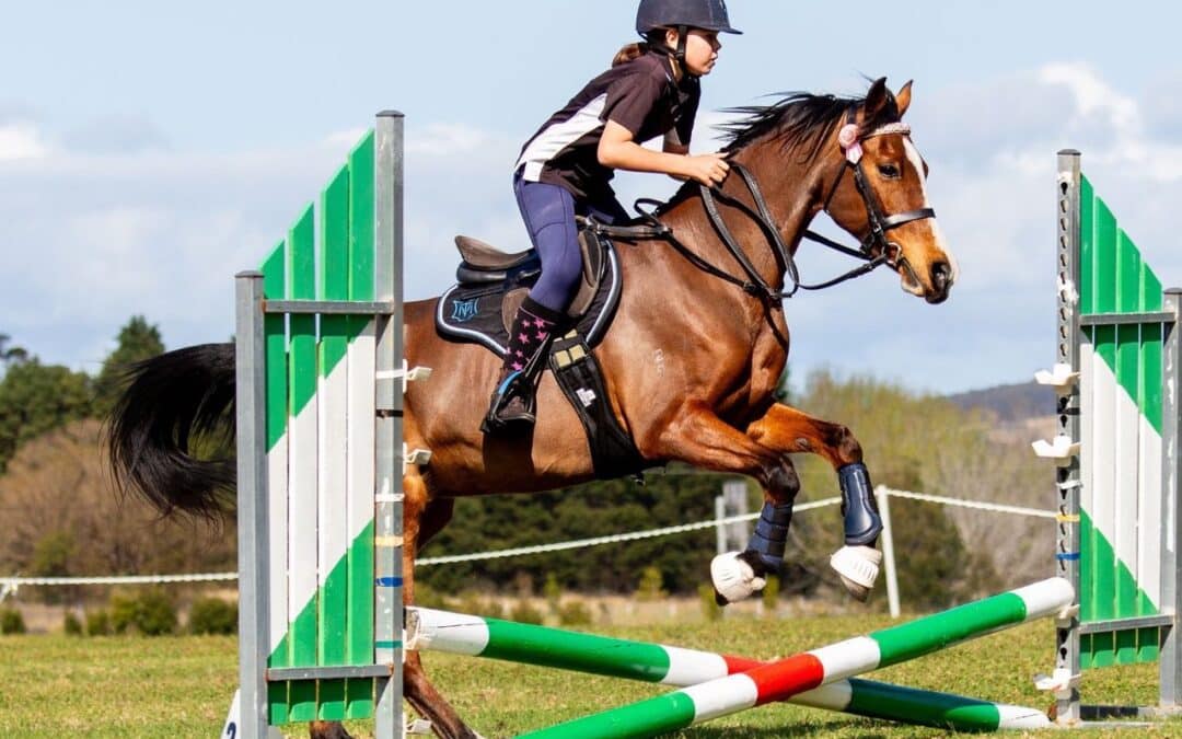 Clear Round Jumping
