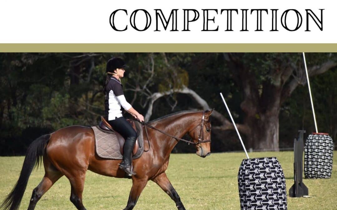 Working Equitation Competition with an ANWE Judge and More.