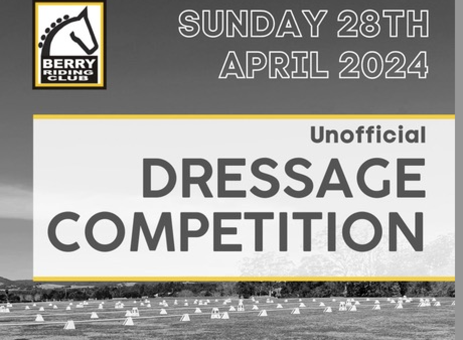 Dressage Competition