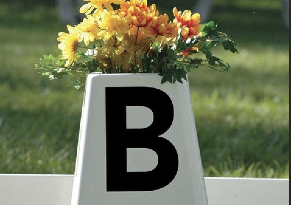 Working Equitation Dressage Training and Comp.