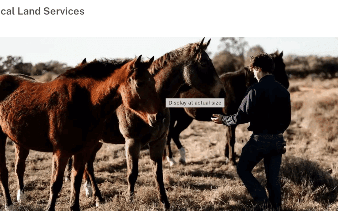 Equine Acres Land Management for Horses By LLS.   FREE
