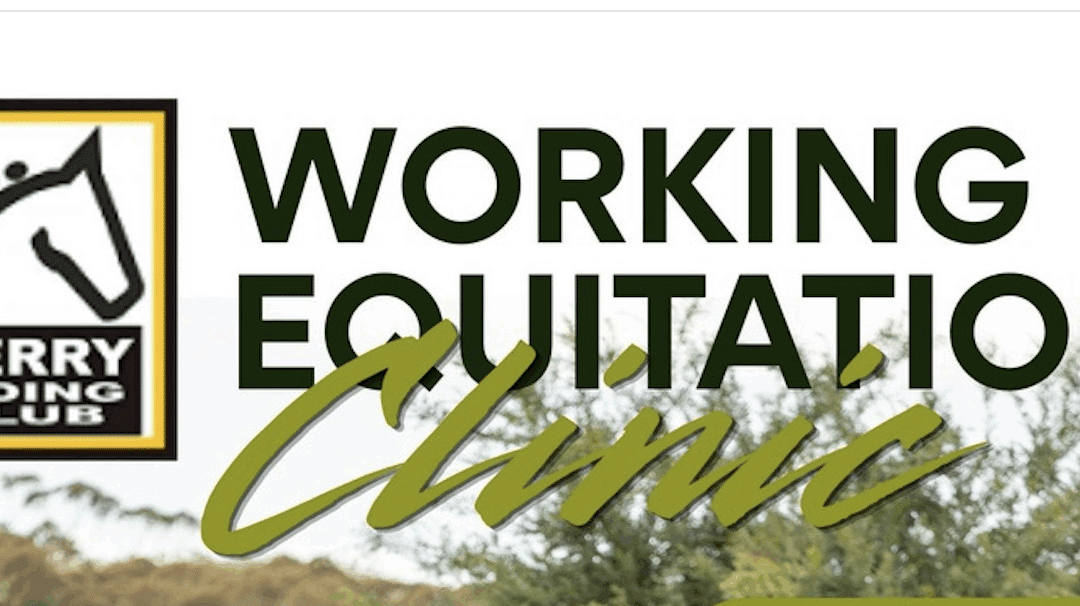 Working Equitation  With Karen Yanik