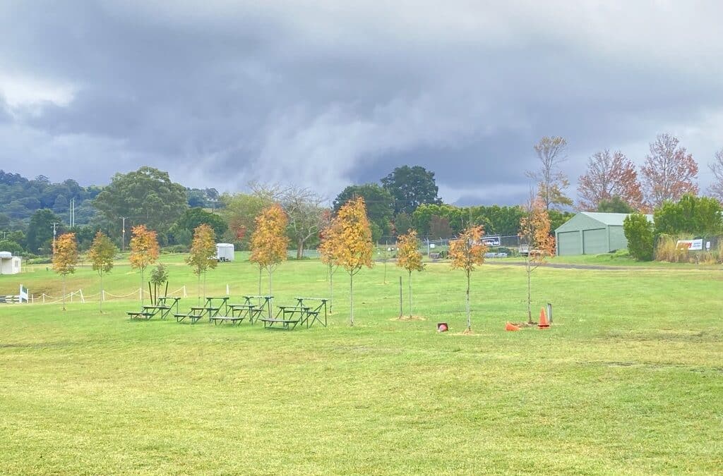 The Queen’s Tree Project : To commemorate the Platinum Jubilee of Her Majesty Queen Elizabeth ll