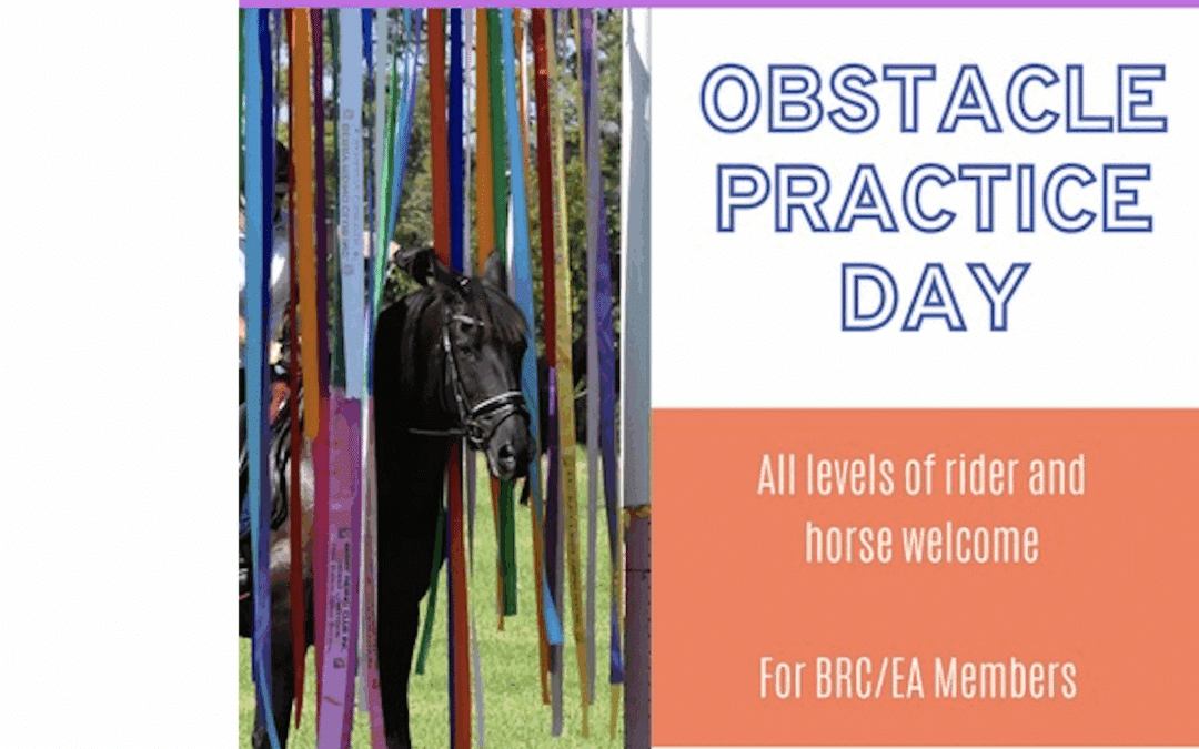 Working Equitation Obstacle Day